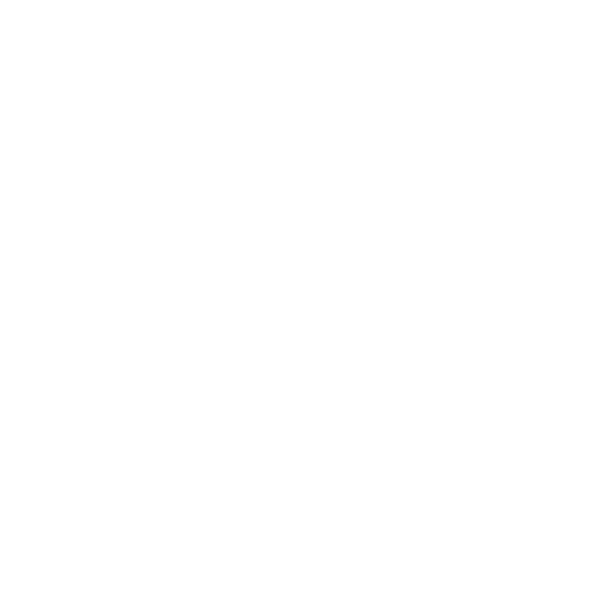 Phoenix Equipments Logo